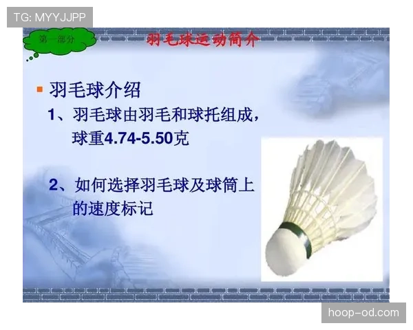 比赛用球的规格与更换规则详解